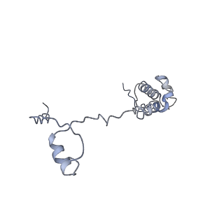 3883_6qzp_SR_v3-0
High-resolution cryo-EM structure of the human 80S ribosome