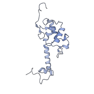 3883_6qzp_SS_v1-0
High-resolution cryo-EM structure of the human 80S ribosome