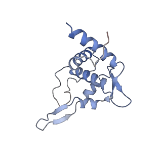 3883_6qzp_ST_v1-0
High-resolution cryo-EM structure of the human 80S ribosome