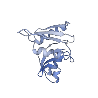 3883_6qzp_SW_v1-0
High-resolution cryo-EM structure of the human 80S ribosome