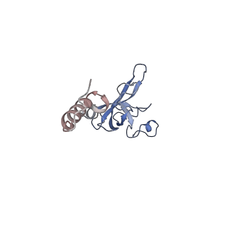 3883_6qzp_SX_v1-0
High-resolution cryo-EM structure of the human 80S ribosome
