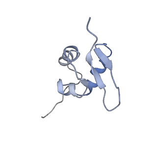 3883_6qzp_SZ_v1-0
High-resolution cryo-EM structure of the human 80S ribosome