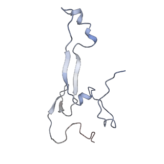 3883_6qzp_Sa_v1-0
High-resolution cryo-EM structure of the human 80S ribosome