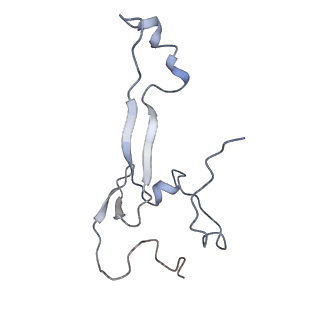 3883_6qzp_Sa_v2-1
High-resolution cryo-EM structure of the human 80S ribosome