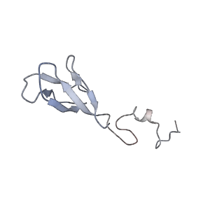 3883_6qzp_Sb_v1-0
High-resolution cryo-EM structure of the human 80S ribosome