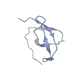 3883_6qzp_Sc_v1-0
High-resolution cryo-EM structure of the human 80S ribosome