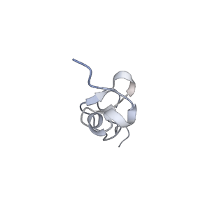 3883_6qzp_Sd_v1-0
High-resolution cryo-EM structure of the human 80S ribosome