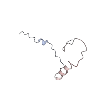3883_6qzp_Se_v1-0
High-resolution cryo-EM structure of the human 80S ribosome