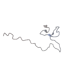 3883_6qzp_Sf_v1-0
High-resolution cryo-EM structure of the human 80S ribosome