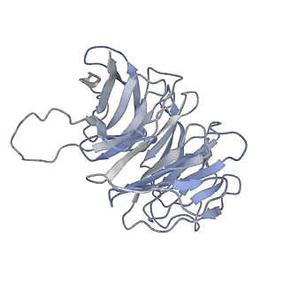 3883_6qzp_Sg_v1-0
High-resolution cryo-EM structure of the human 80S ribosome