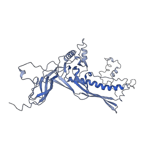 4681_6qz0_1B_v1-0
The cryo-EM structure of the head of the genome empited bacteriophage phi29
