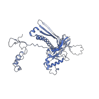 4681_6qz0_1E_v1-0
The cryo-EM structure of the head of the genome empited bacteriophage phi29