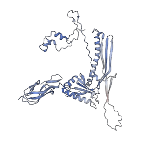 4681_6qz0_1F_v1-0
The cryo-EM structure of the head of the genome empited bacteriophage phi29