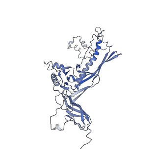 4681_6qz0_1H_v1-0
The cryo-EM structure of the head of the genome empited bacteriophage phi29