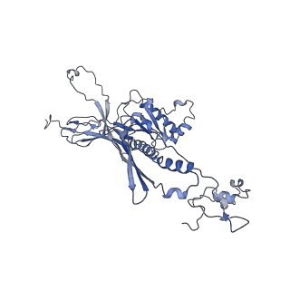 4681_6qz0_1J_v1-0
The cryo-EM structure of the head of the genome empited bacteriophage phi29