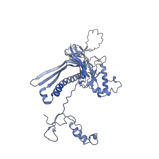 4681_6qz0_1K_v1-0
The cryo-EM structure of the head of the genome empited bacteriophage phi29