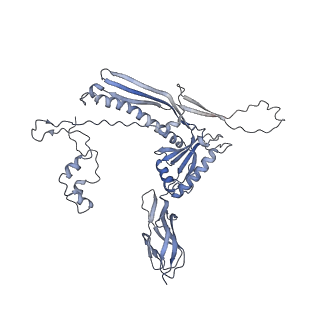 4681_6qz0_1L_v1-0
The cryo-EM structure of the head of the genome empited bacteriophage phi29