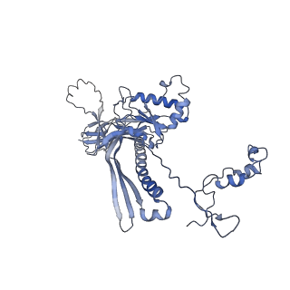 4681_6qz0_1Q_v1-0
The cryo-EM structure of the head of the genome empited bacteriophage phi29