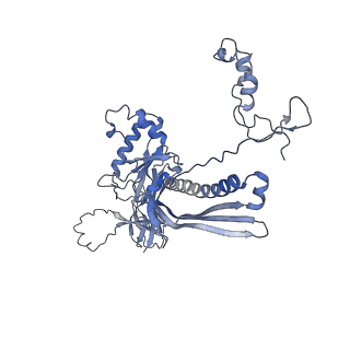4681_6qz0_1W_v1-0
The cryo-EM structure of the head of the genome empited bacteriophage phi29