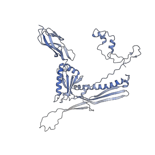 4681_6qz0_1d_v1-0
The cryo-EM structure of the head of the genome empited bacteriophage phi29