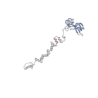 4681_6qz0_1e_v1-0
The cryo-EM structure of the head of the genome empited bacteriophage phi29