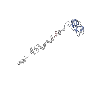 4681_6qz0_1f_v1-0
The cryo-EM structure of the head of the genome empited bacteriophage phi29