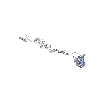 4681_6qz0_1g_v1-0
The cryo-EM structure of the head of the genome empited bacteriophage phi29