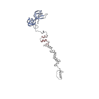 4681_6qz0_1i_v1-0
The cryo-EM structure of the head of the genome empited bacteriophage phi29