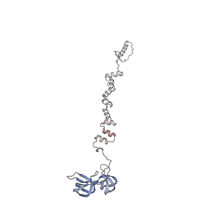 4681_6qz0_1q_v1-0
The cryo-EM structure of the head of the genome empited bacteriophage phi29
