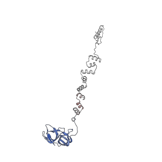 4681_6qz0_1r_v1-0
The cryo-EM structure of the head of the genome empited bacteriophage phi29