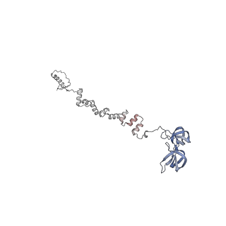 4681_6qz0_1u_v1-0
The cryo-EM structure of the head of the genome empited bacteriophage phi29