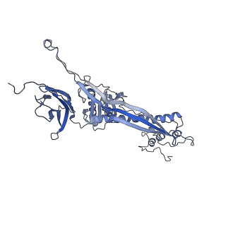 4681_6qz0_2B_v1-0
The cryo-EM structure of the head of the genome empited bacteriophage phi29