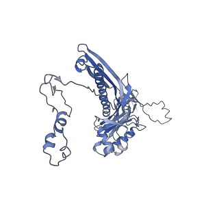 4681_6qz0_2D_v1-0
The cryo-EM structure of the head of the genome empited bacteriophage phi29