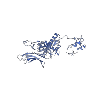 4681_6qz0_2H_v1-0
The cryo-EM structure of the head of the genome empited bacteriophage phi29