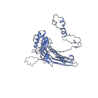 4681_6qz0_2S_v1-0
The cryo-EM structure of the head of the genome empited bacteriophage phi29