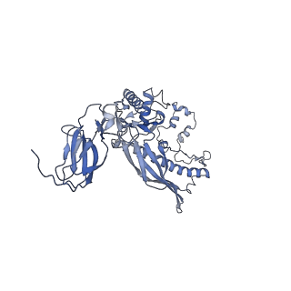 4681_6qz0_2U_v1-0
The cryo-EM structure of the head of the genome empited bacteriophage phi29