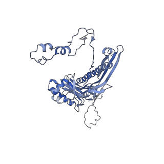 4681_6qz0_2X_v1-0
The cryo-EM structure of the head of the genome empited bacteriophage phi29
