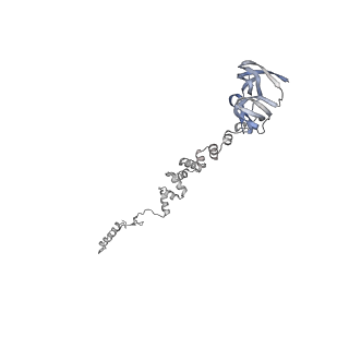 4681_6qz0_2Z_v1-0
The cryo-EM structure of the head of the genome empited bacteriophage phi29