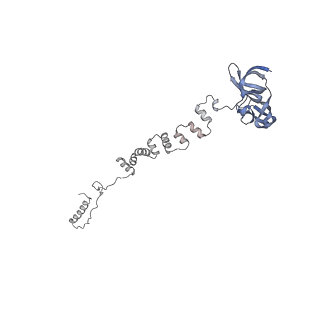 4681_6qz0_2a_v1-0
The cryo-EM structure of the head of the genome empited bacteriophage phi29