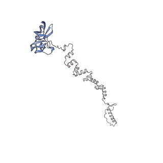 4681_6qz0_2i_v1-0
The cryo-EM structure of the head of the genome empited bacteriophage phi29