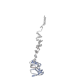 4681_6qz0_2o_v1-0
The cryo-EM structure of the head of the genome empited bacteriophage phi29