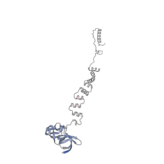 4681_6qz0_2p_v1-0
The cryo-EM structure of the head of the genome empited bacteriophage phi29