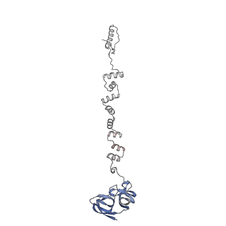 4681_6qz0_2r_v1-0
The cryo-EM structure of the head of the genome empited bacteriophage phi29