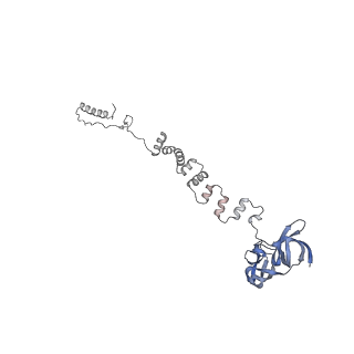 4681_6qz0_2u_v1-0
The cryo-EM structure of the head of the genome empited bacteriophage phi29