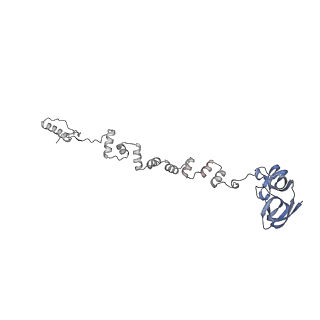 4681_6qz0_2w_v1-0
The cryo-EM structure of the head of the genome empited bacteriophage phi29