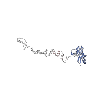 4681_6qz0_2x_v1-0
The cryo-EM structure of the head of the genome empited bacteriophage phi29