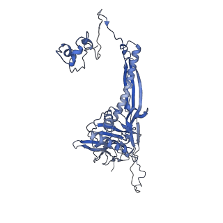 4681_6qz0_3E_v1-0
The cryo-EM structure of the head of the genome empited bacteriophage phi29