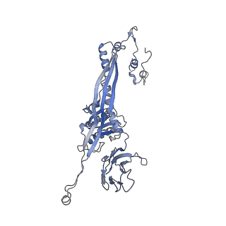 4681_6qz0_3N_v1-0
The cryo-EM structure of the head of the genome empited bacteriophage phi29