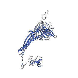 4681_6qz0_3Q_v1-0
The cryo-EM structure of the head of the genome empited bacteriophage phi29