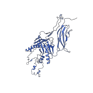 4681_6qz0_3R_v1-0
The cryo-EM structure of the head of the genome empited bacteriophage phi29